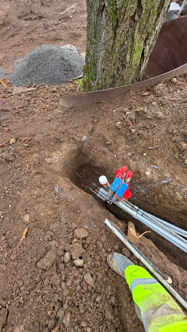 Excavation site showing conduit and electrical connections near a large tree root, with exposed wires and a valve visible.